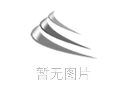 雨燕直播